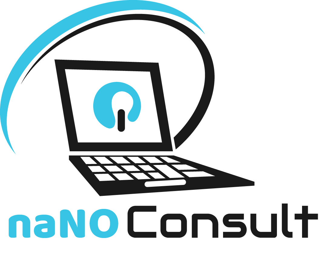 naNO Consult Logo